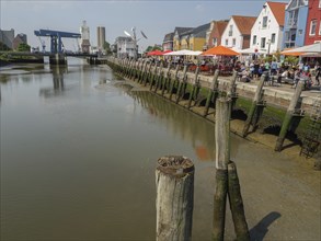 Lively harbour shore area with cafés and colourful houses, people, wooden piles in the water and