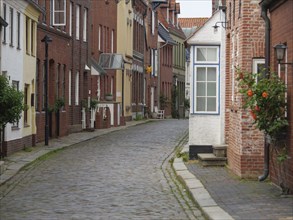 A narrow, cobbled alley with historic brick buildings and plants, husum, schleswig-holstein,