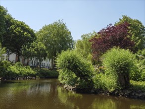 A calm river runs through a lush green landscape under bright sunshine, friedrichstadt,