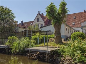 Various houses with garden and trees on a peaceful riverside in sunny weather, friedrichstadt,