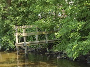 Wooden platform over an area of water, surrounded by dense green vegetation and trees,