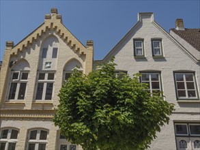 Two historic houses with bay windows and windows and a large green tree in the foreground,