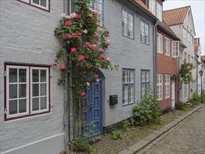 Row of colourful half-timbered houses with blooming roses and cobblestone alley in an idyllic