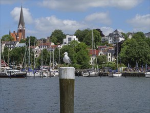 A seagull sits on a wooden pole in front of a harbour with sailing boats, surrounded by traditional