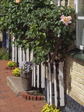 Half-timbered house with tiled roof, beautiful flower beds and flower boxes along the window and