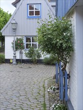 A small house with a alleyway lamp and green plants in a cobbled alley, Schleswig,