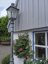 A grey house with a blooming rose plant next to a street lamp, Schleswig, Schleswig-Holstein,