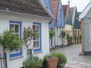 Row of colourful houses with well-tended flowers and cobblestone street below, Schleswig,