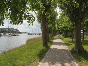 Long path under an avenue of trees along a quiet lakeshore with moored boats in summer weather,