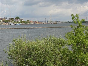 Riverbank with trees and view of the harbour with boats and buildings in the background, Kappeln,