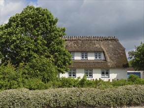 A traditional country house with thatched roof, surrounded by trees and bushes, under a cloudy sky,