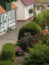 Blooming garden in front of traditional half-timbered houses in a picturesque village, Schleswig,