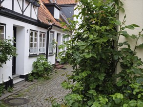 Narrow cobbled street between old half-timbered houses and lush green foliage, Kappeln,