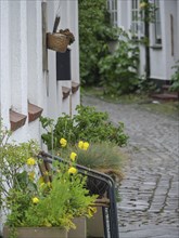 Charming alley with blooming flowers and plants in front of old houses with cobblestones,