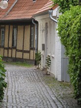 A narrow cobbled alleyway with half-timbered and white houses surrounded by lush greenery,