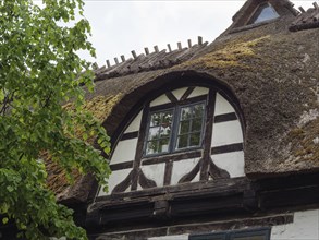 Close-up of an old half-timbered house with a moss-covered roof and small windows, surrounded by a