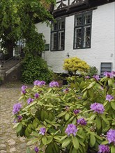 A house with a flowering garden and plants along the paved garden path, Kappeln,