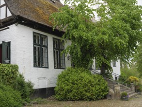 A large half-timbered house surrounded by plants and trees, with a rustic charm, Kappeln,