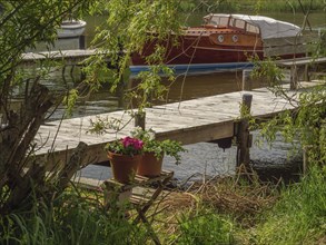 A jetty with flower pots leads to the water, where a boat is moored, in a natural setting, Kappeln,