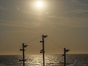 Sunset over the sea with silhouettes of masts and a warm orange sky, de haan, belgium