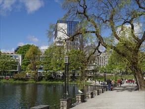 A park with a pond, tall trees and modern buildings, with walkers along the path, Stavanger,