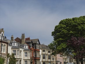 Street scene with colourful old town houses and a large tree in the foreground under a clear sky,