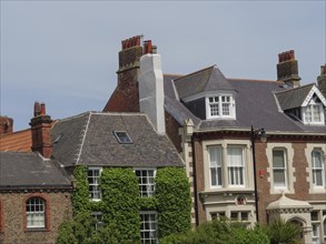 A row of old houses with tiled roofs and green plants on the facades, tynemouth, England, United