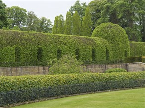 A garden with carefully trimmed hedges and a stone wall surrounded by trees, tynemouth, England,