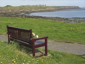 A lonely bench with a bouquet of flowers stands on a grassy strip near the coast with a rocky cliff