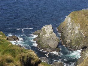 Rugged cliffs surrounded by deep blue water and waves on a steep coastline, Lerwick, Shetland,