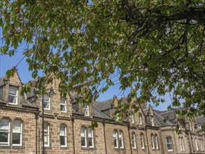 Row of historic stone buildings behind a large green tree with overhanging leaves, inverness,