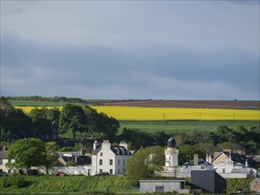 View of a picturesque village with white houses and yellow rape fields in the background, under a