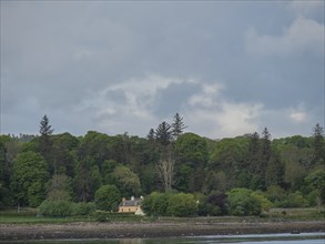 A small house on the edge of a forest, surrounded by tall trees and overlooking a riverbank under a