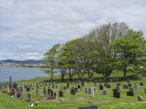 Cemetery with gravestones and trees, in the distance a lake and mountains under a cloudy sky,