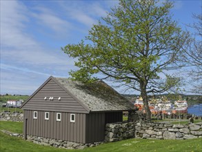 Simple wooden hut next to a tree and stone wall, behind it ships and blue sky, Haugesund, norway