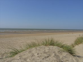 Extensive beach with dunes in the foreground, sea in the background and clear blue sky, de haan,