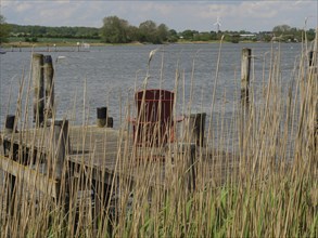 View through reeds to a lake with an old wooden jetty and wind turbines in the distance, Arnis,