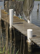 A wooden footbridge with suspended fishing nets leading into the water, Arnis, Schleswig-Holstein,