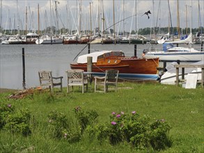 Small harbour with several boats and a green, flowering lawn in the foreground, Arnis,