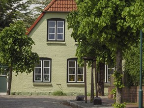 Green house with red tiled roof and trees on a cobbled street in summer, Arnis, Schleswig-Holstein,