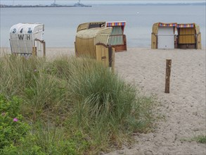 Some beach chairs on an empty beach with a view of the calm sea and tufts of grass in the