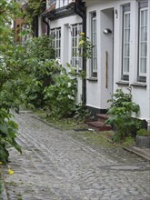 Narrow alley with cobblestones, flanked by white houses and lush greenery, Eckernförde,