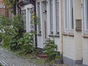 Row of houses in old town with cobblestone street and plants, Eckernförde, SChleswig-Holstein,