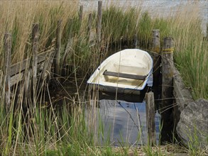 A simple boat lies encapsulated amidst reeds and an old wooden jetty, Maasholm, Schleswig-Holstein,