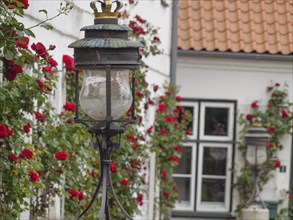 Nostalgic street lamp in front of a white house wall with red roses and windows in the background,