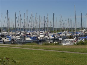 A fully occupied boat harbour with many sailing boats and an adjacent green area, Flensburg,