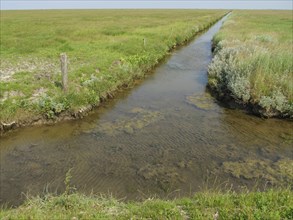 A small clear stream in the middle of a wide and peaceful meadow landscape, Hallig Hooge,