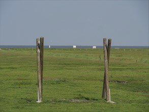 Wooden posts standing on a wide meadow with a view of the sea on the horizon, Hallig Hooge,