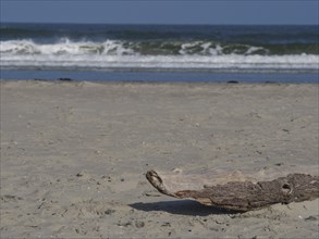 A piece of driftwood lies on sand while waves crash against the beach in the background, juist,