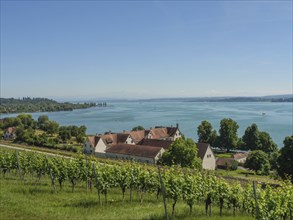 Vineyards on the lakeshore with historic buildings and hilly, green landscape under a clear sky,